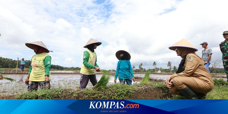 Banyuwangi-regent-encourages-farmers-to-use-organic-fertilizer