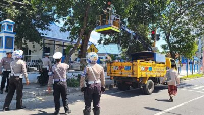 traffic-light-penting-bagi-keselamatan-pengendara,-dahan-pohon-jadi-sasaran-pembersihan