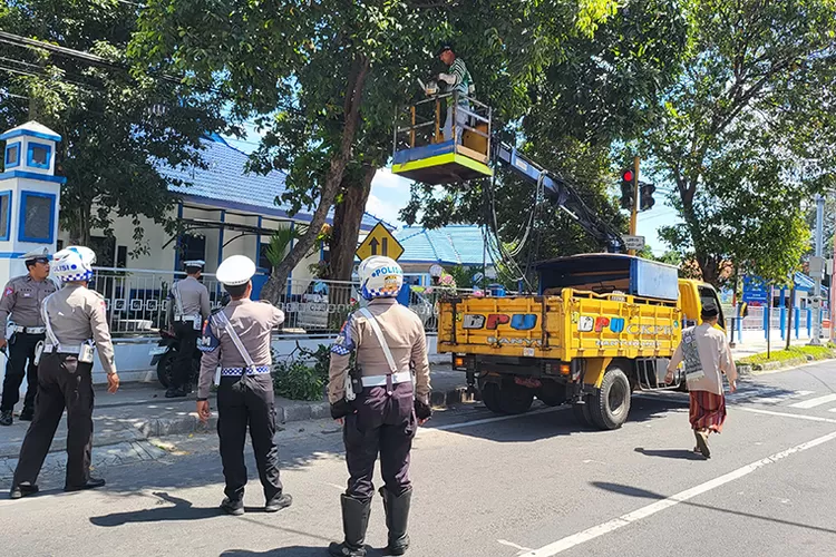 traffic-light-is-important-for-motorist-safety,-tree-branches-are-target-cleaning