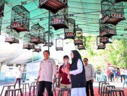 The Song Bird Festival in Banyuwangi is lively, More than 1.000 Participants Participate – Tribunjatim.com