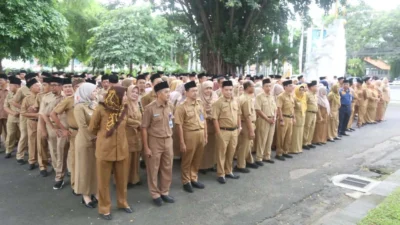 pemkab-banyuwangi-buka-seleksi-tenaga-pppk,-ada-614-formasi