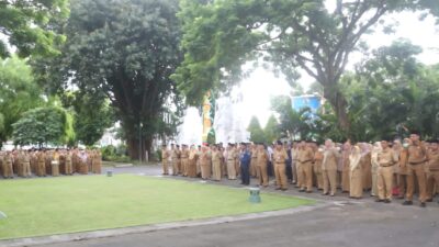 banyuwangi-kembali-buka-rekrutmen-ratusan-pppk,-ada-guru,-kesehatan,-dan-teknis