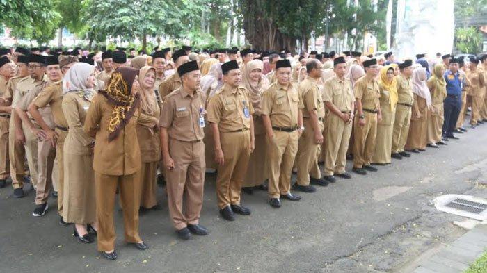 banyuwangi-buka-seleksi-ratusan-pppk,-kesempatan-emas-bagi-tenaga-honorer-–-tribunjatim.com