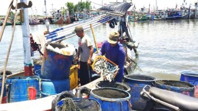 tangkapan-ikan-lemuru-melimpah,-nelayah-muncar-banyuwangi-sumringah-–-radar-banyuwangi