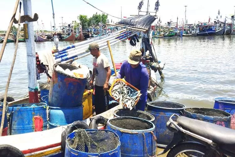 tangkapan-ikan-lemuru-melimpah,-nelayah-muncar-banyuwangi-sumringah-–-radar-banyuwangi