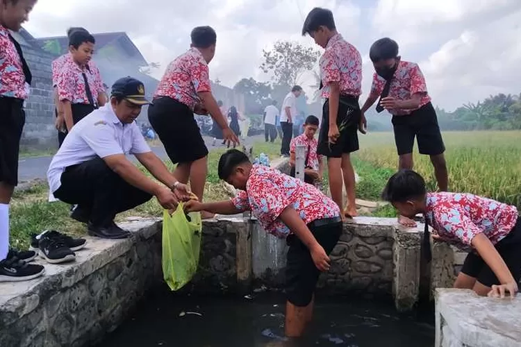 update-program-sekardadu,-ratusan-siswa-diajak-jaga-aliran-sungai-irigasi-persawahan-kebondalem-banyuwangi