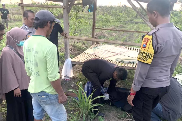 mayat-mr-x-ditemukan-di-gubuk-persawahan-yosomulyo-banyuwangi,-tidak-ada-keluarga-datang,-langsung-dimakamkan-di-tpu-genteng-kulon