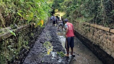 program-padat-karya-banyuwangi-jangkau-ribuan-warga-pra-sejahtera