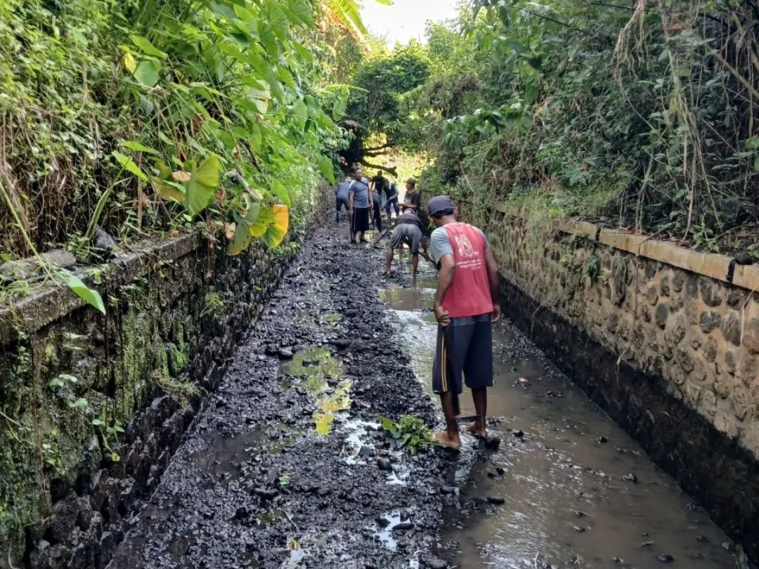 program-padat-karya-banyuwangi-jangkau-ribuan-warga-pra-sejahtera