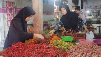 harga-cabai-merosot,-petani-beralih-tanam-di-genteng-banyuwangi