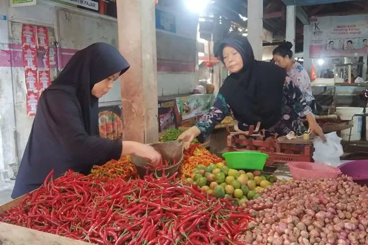 harga-cabai-merosot,-petani-beralih-tanam-di-genteng-banyuwangi