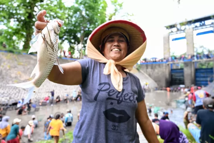 dam-singir-muncar-dikeringkan,-ratusan-warga-banyuwangi-berebut-ikan-mabuk