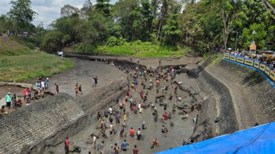 persiapan-musim-tanam-2024-2025-,-pemkab-banyuwangi-keringkan-sejumlah-dam-besar