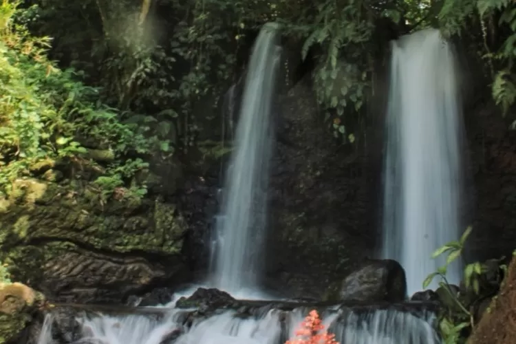 there-is-a-carving-of-a-dragon-near-legomoro-waterfall-in-glenmore-banyuwangi-–-radar-banyuwangi