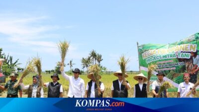 serap-panen-di-banyuwangi,-wujud-konsistensi-program-mitra-tani-perum-bulog